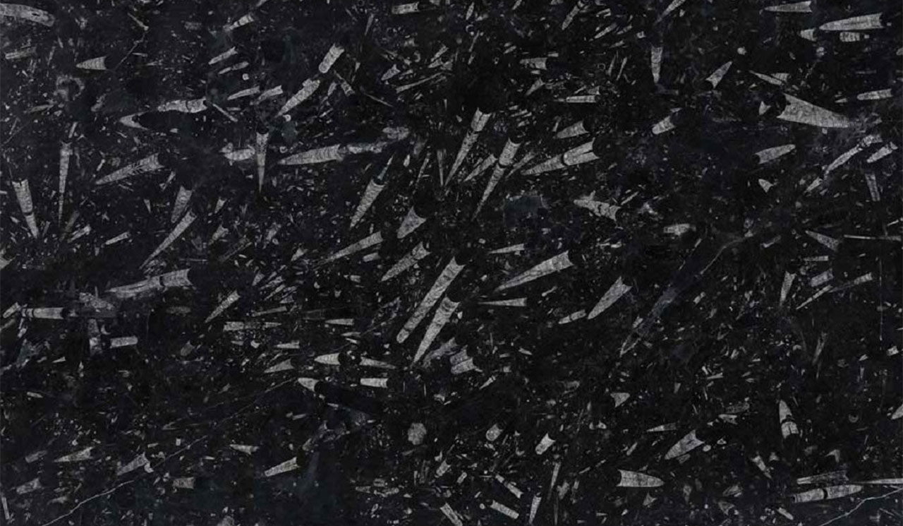 Fosil Black Mermer